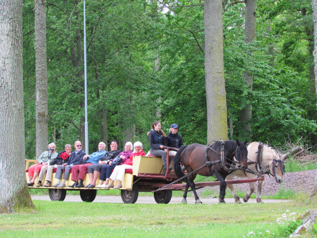 6 Remarlag Visingsö