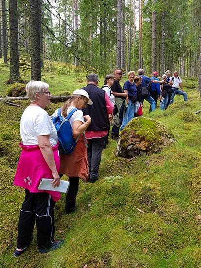 Vandring-Intaget-Långbro-(4)